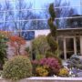 Servicios de jardinería adaptados a tus necesidades