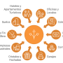 Servicios integrales de limpieza